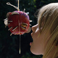 The Drought CD by Puce Mary album artwork