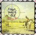 A Bigger Piece of Sky LP by Robert Earl Keen album artwork
