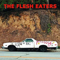 I Used To Be Pretty CD by The Flesh Eaters album artwork