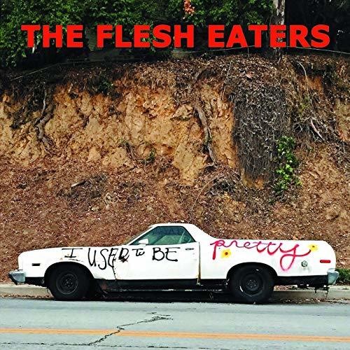 I Used To Be Pretty CD by The Flesh Eaters album artwork