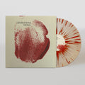 Generations LP by Will Butler album artwork