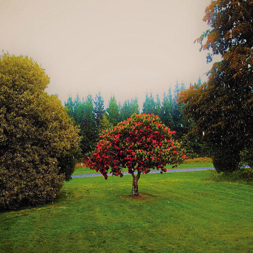 Foothills LP by The Bats album artwork