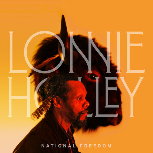 National Freedom LP by Lonnie Holley album artwork