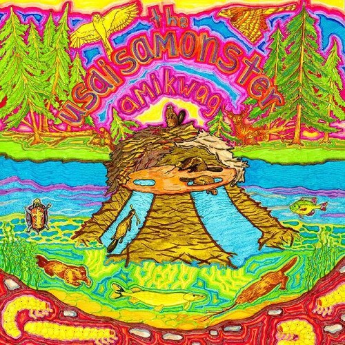 amikwag LP by usaisamonster album artwork