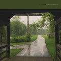 The Shadow I Remember LP by Cloud Nothings album artwork