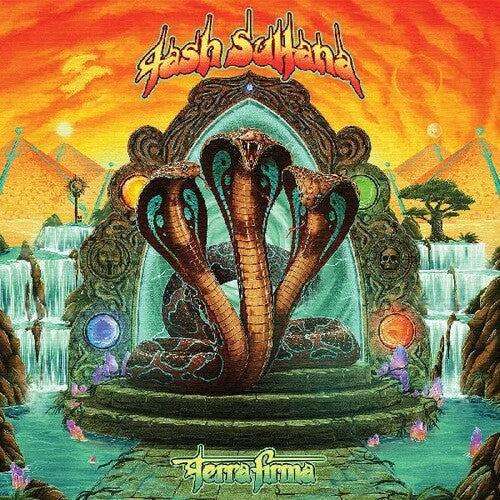 Terra Firma 2LP by Tash Sultana album artwork