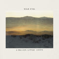 A Billion Little Lights CD by Wild Pink album artwork