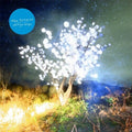 Vertigo Days CD by The Notwist album artwork