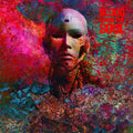 Dsm-5 LP by Blood From The Soul album artwork