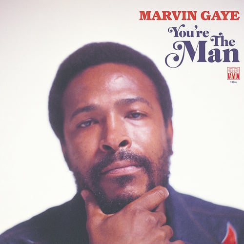 You're The Man 2LP by Marvin Gaye album artwork