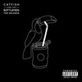 The Balance LP by Catfish & The Bottlemen album artwork