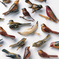 Omoiyari LP by Kishi Bashi album artwork