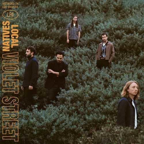 Violet Street LP by Local Natives album artwork