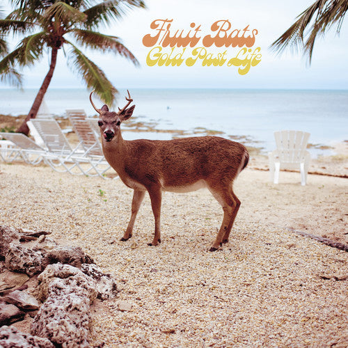 Gold Past Life LP by Fruit Bats album artwork