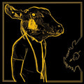 Roll the Bones X 2LP by Shakey Graves album artwork