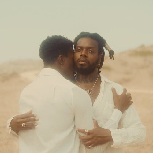 Deacon LP by serpentwithfeet album artwork