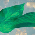 Self-Titled by Resavoir album artwork