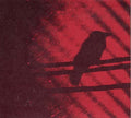 Born Into Trouble As The Sparks Fly Upward 2X10" by Silver Mt. Zion album artwork