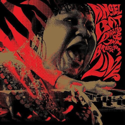 Live 2LP by Angel Bat Dawid album artwork