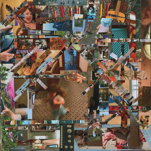 Reason to Live LP by Lou Barlow album artwork