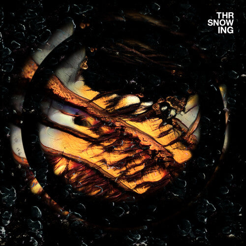 Dragons LP by Throwing Snow album artwork