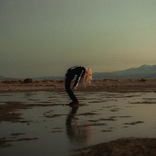 Copycat Killer 12" by Phoebe Bridgers album artwork