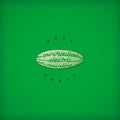 Pure Phase 2LP by Spiritualized album artwork