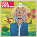 Last Of The Better Days Ahead CD by Charlie Parr album artwork