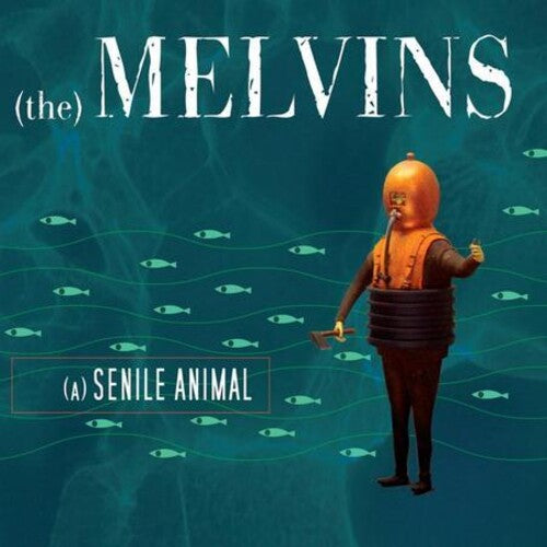 (A) Senile Animal 2LP by Melvins album artwork