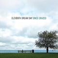 Since Grazed 2LP by Eleventh Dream Day album artwork