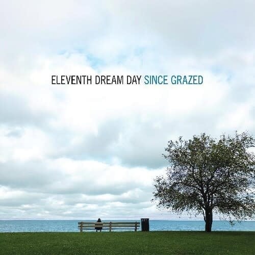 Since Grazed 2LP by Eleventh Dream Day album artwork