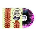 Under Soil and Dirt LP by Story So Far album artwork