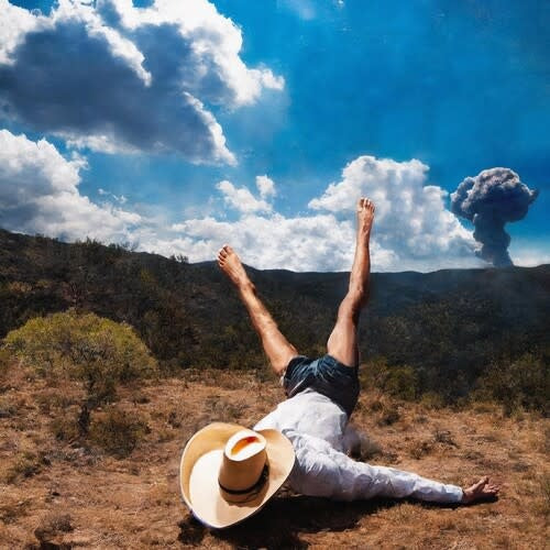 3D Country LP by Geese album artwork