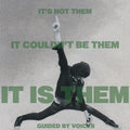It's Not Them. It Couldn't Be Them. It Is Them! CD by Guided By Voices album artwork