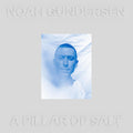 A Pillar Of Salt 2LP by Noah Gundersen album artwork