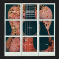All The Truth That I Can Tell CD by Dashboard Confessional album artwork