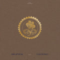 Collected Pieces CD by Mary Lattimore album artwork