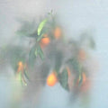 Secret Garden LP by Mu-Ziq & Mrs Jynx album artwork