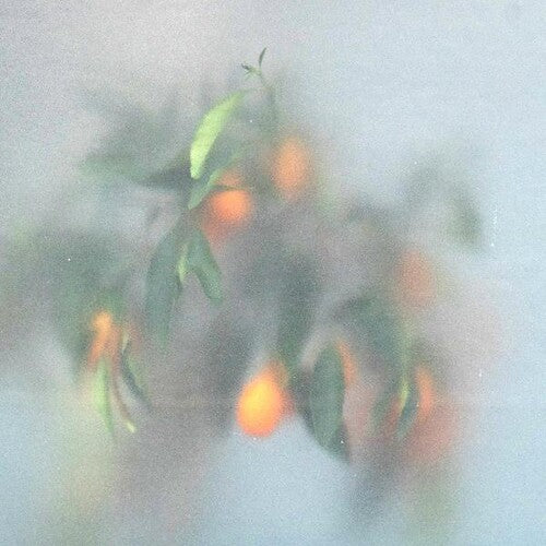 Secret Garden LP by Mu-Ziq & Mrs Jynx album artwork