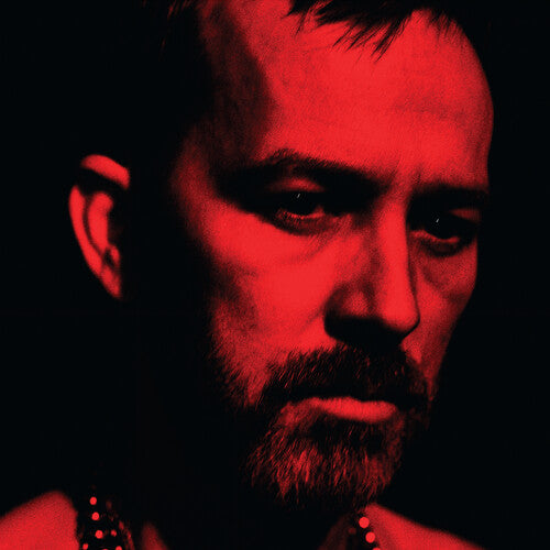 The Social Animals LP by Duquette Johnston album artwork