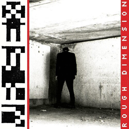Rough Dimension LP by VR Sex album artwork
