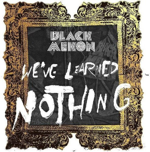 We've Learned Nothing 2LP by Black Mekon album artwork
