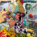 Cure the Jones LP by Mamas Gun album artwork