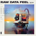 Raw Data Feel LP by Everything Everything album artwork
