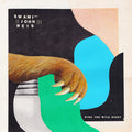Ride the Wild Night LP by Swami John Reis album artwork