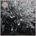 Parallel Universe Blues LP by Papercuts album artwork