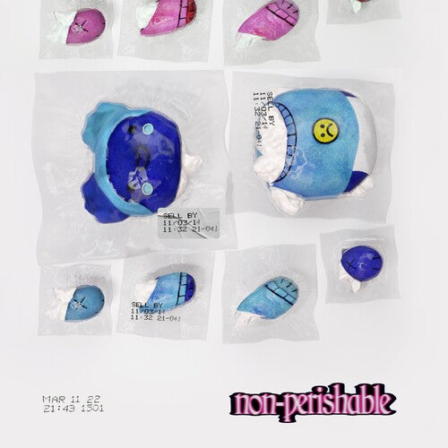 Non-Perishable CD by Tobi Lou album artwork