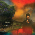 We've Been Going About This All Wrong LP by Sharon Van Etten album artwork