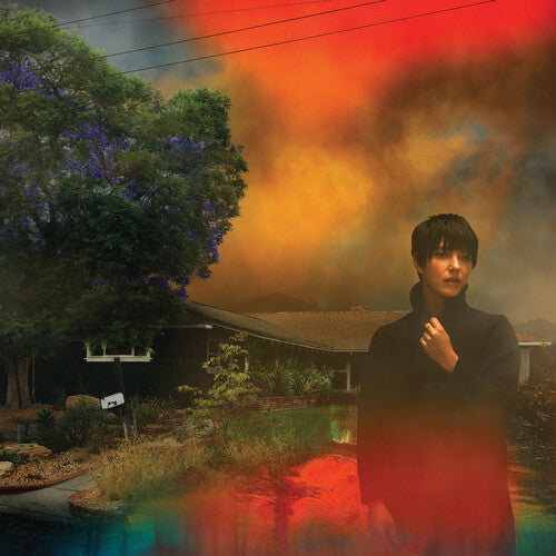 We've Been Going About This All Wrong LP by Sharon Van Etten album artwork