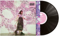 Sometimes, Forever LP by Soccer Mommy album artwork